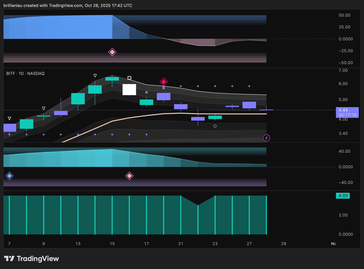 missbrillian's tweet image. $BITF #BITF triple pink diamond but currently above our gold line of support with full whale accumulations 🐳👀

Access to our indicator to improve your technical analysis stack, link in bio.