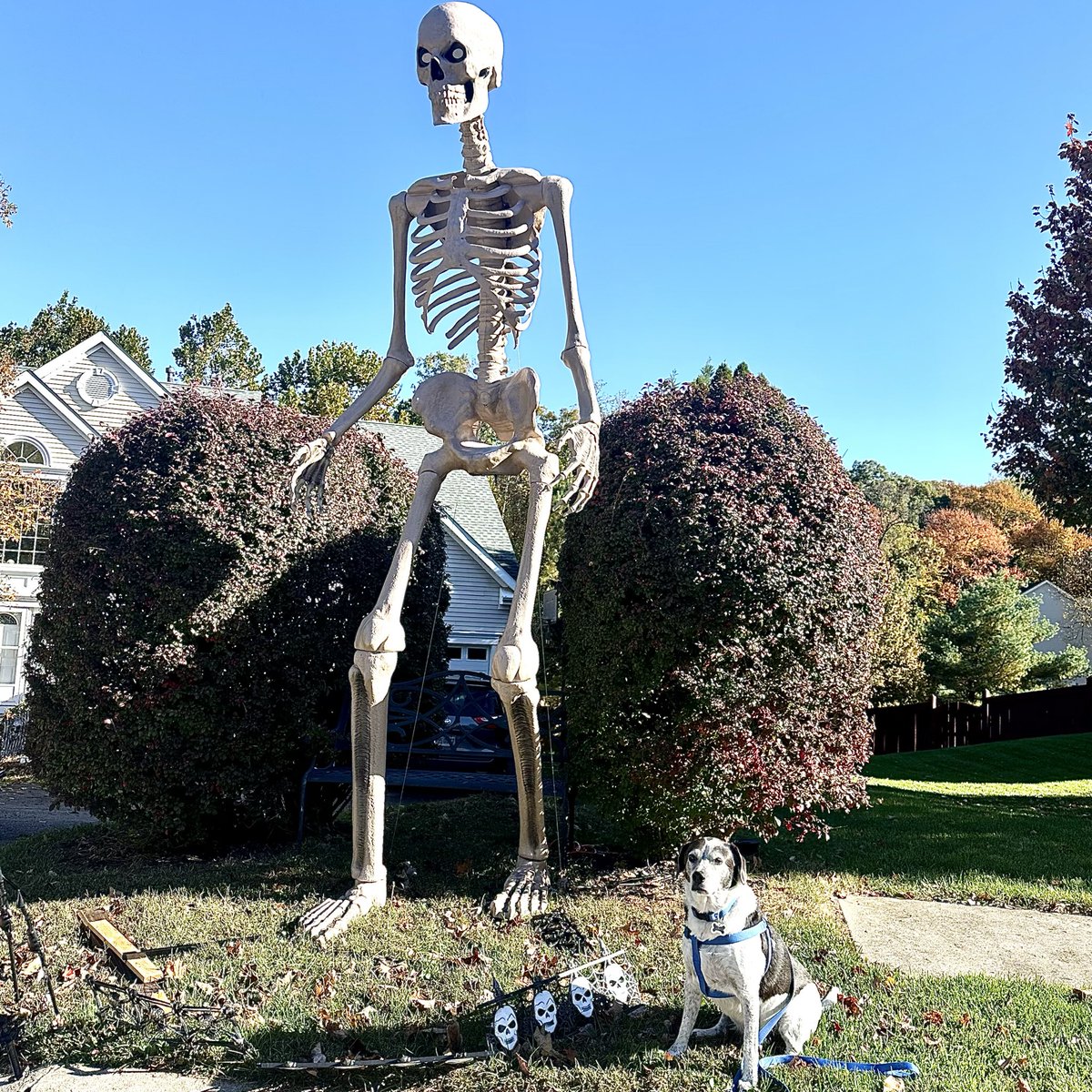 PAWS and THINK!® tweet media