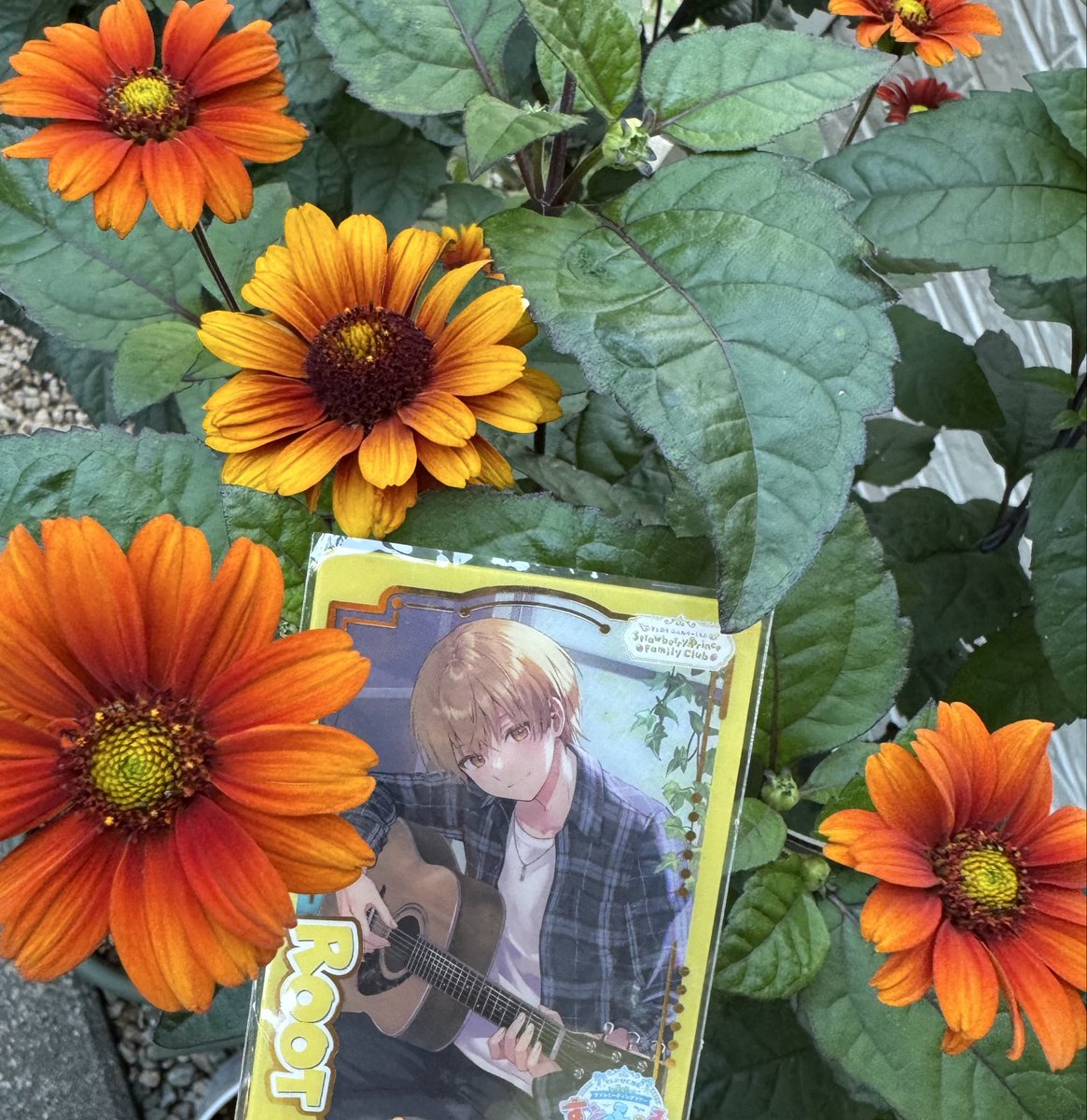 ホシ⭐︎ 星空と水族館 on X