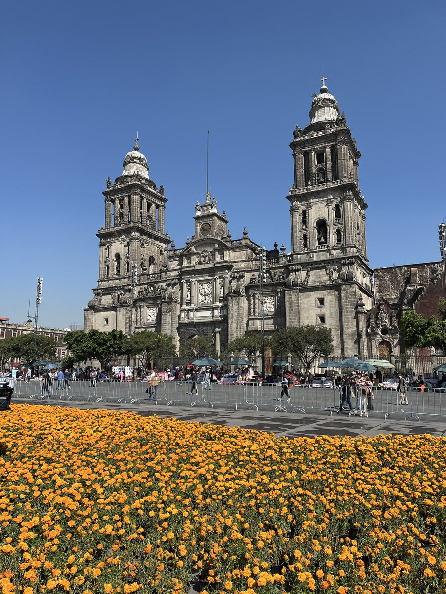 Out discovering Mexico City this morning, not seen James Bond here yet <a href="/VisitMex/">Visit México</a> 🇲🇽🌮