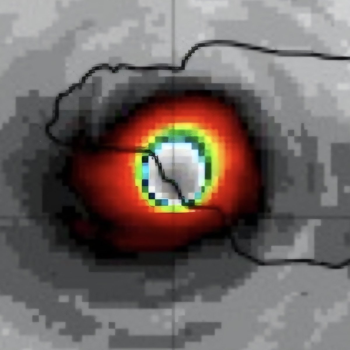 Simon Brewer tweet media