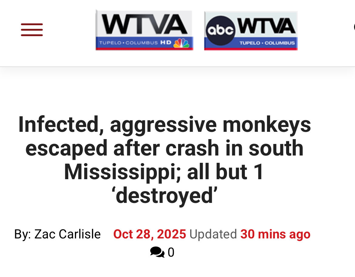 PulpPit's tweet image. 