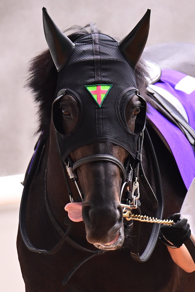 sball_dictus's tweet photo. #ジャスティンパレス
#ディープインパクト
#天皇賞・秋
"俺はまだ諦めちゃいねえぜ" https://t.co/m1vfkTiezT