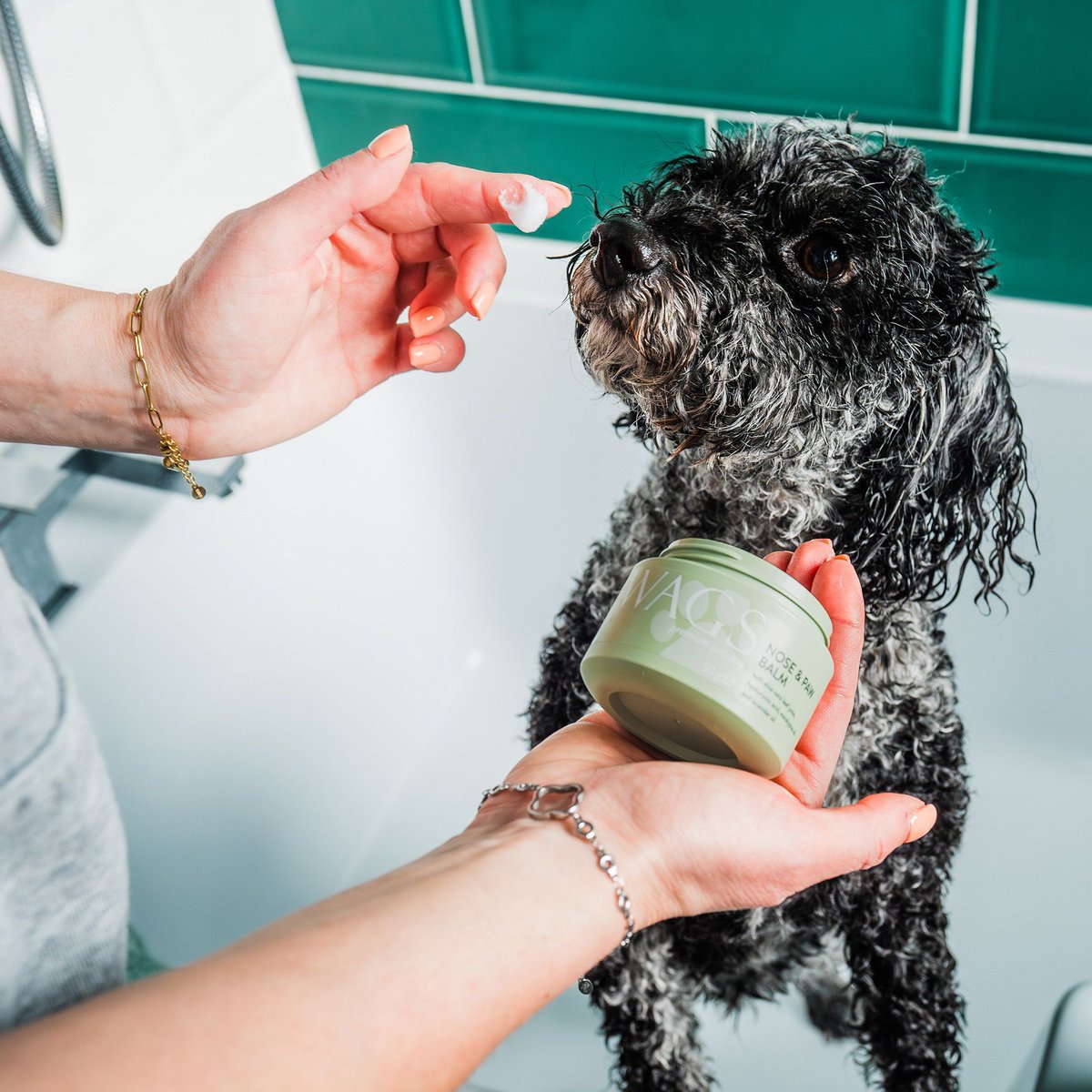 HaloSport's tweet image. 🐾 Give your pup the paw-fect treat with our new balm for nose &amp;amp; paws! Softens, soothes and protects even the driest pads and crustiest snouts - made right here in the UK 🐾 soapboxtrading.co.uk/wags 
.
.
.
#DogLovers #DogCareUK #PawProtection #NoseBalm #UKDogs #PetParentsUK