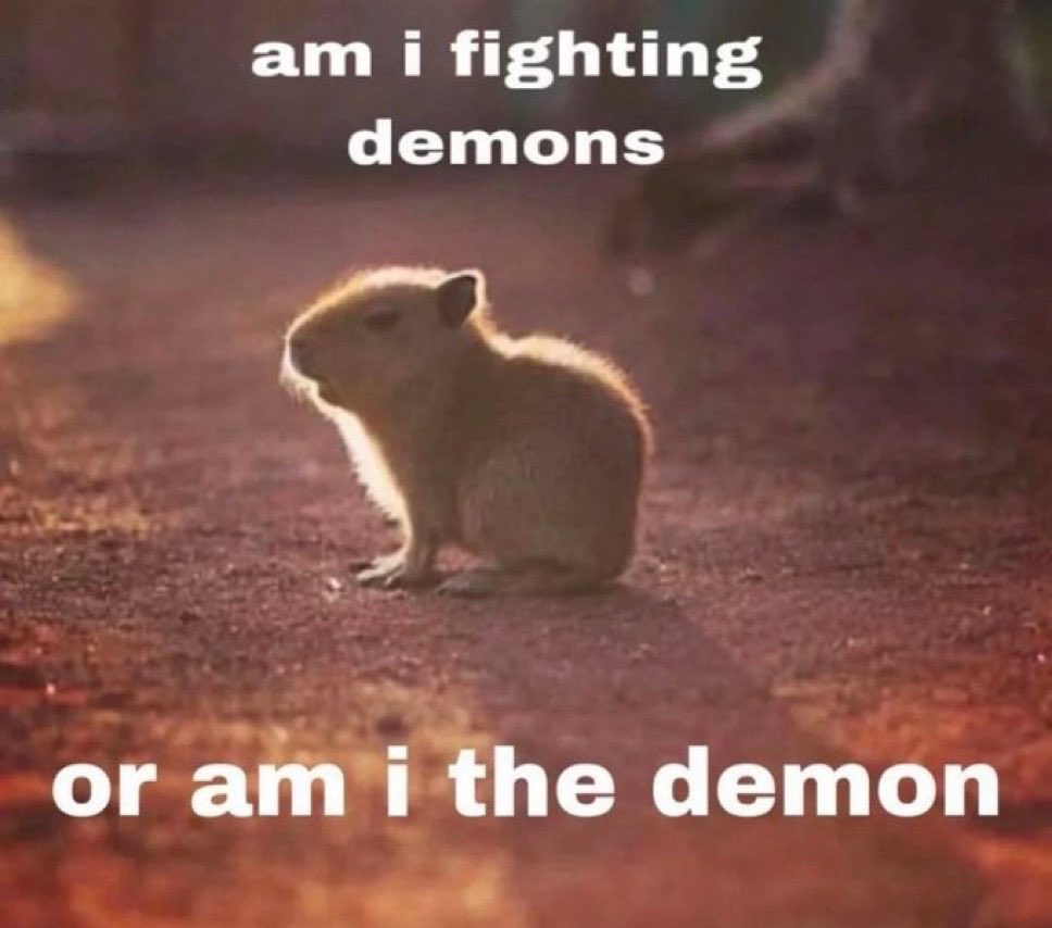 raccoon aesthetic. tweet media