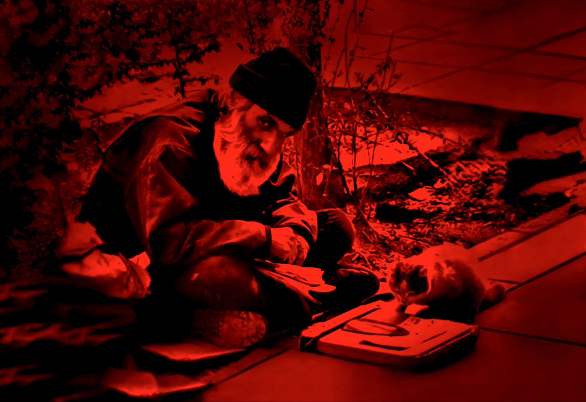 Mreza tweet media