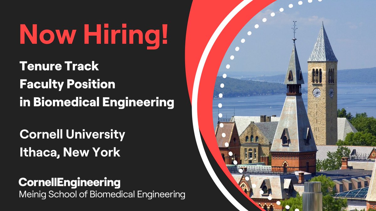 Cornell Biomedical Engineering tweet media