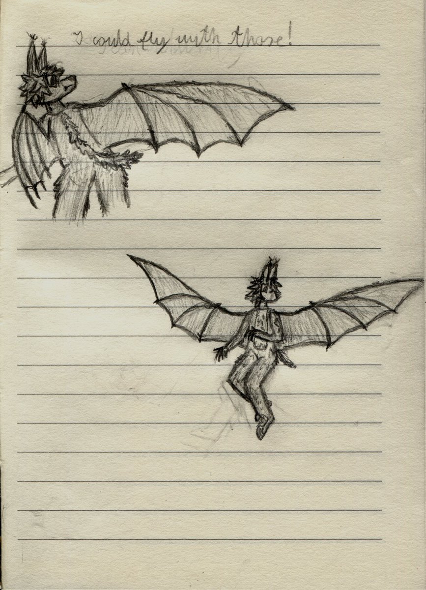 RunoTheBat's tweet image. A bit longer and different shaped wings, more bat-like (as they should be duh)
#furryart #sketch