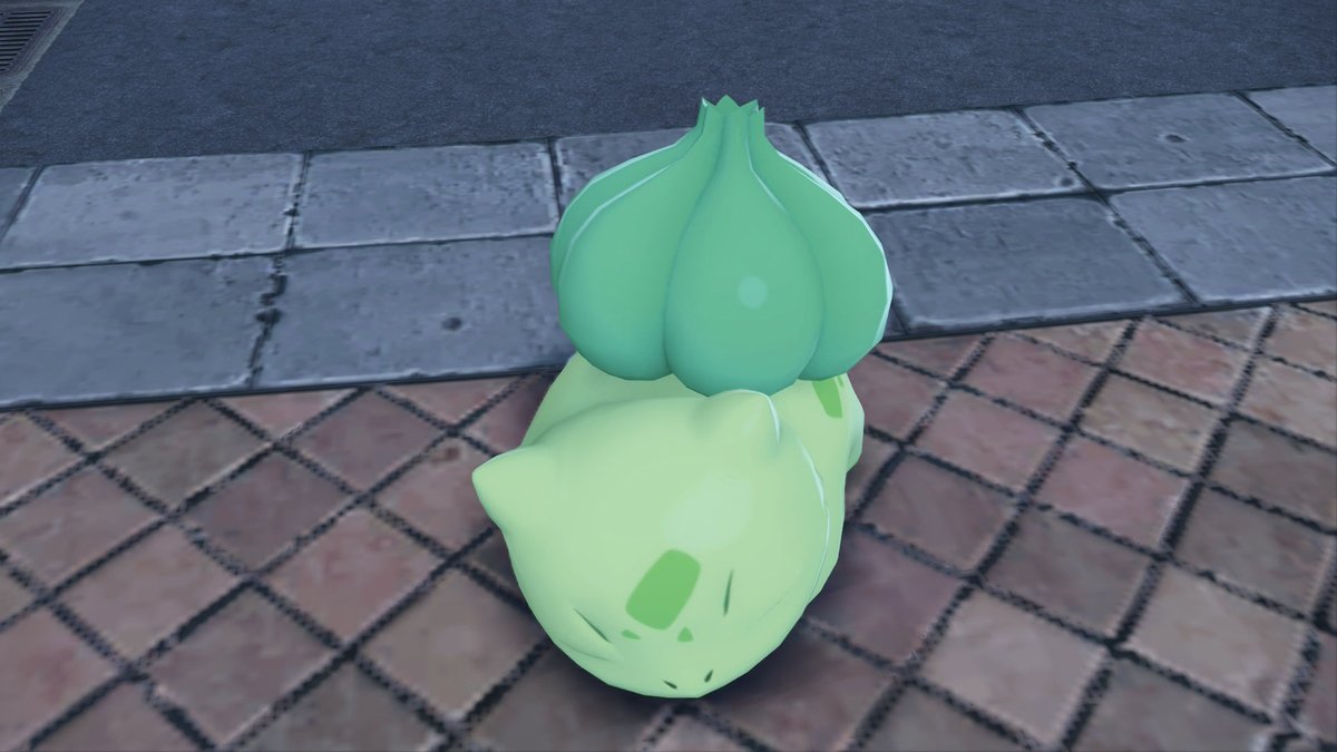 I found this guy today I’m gonna call him lettuce