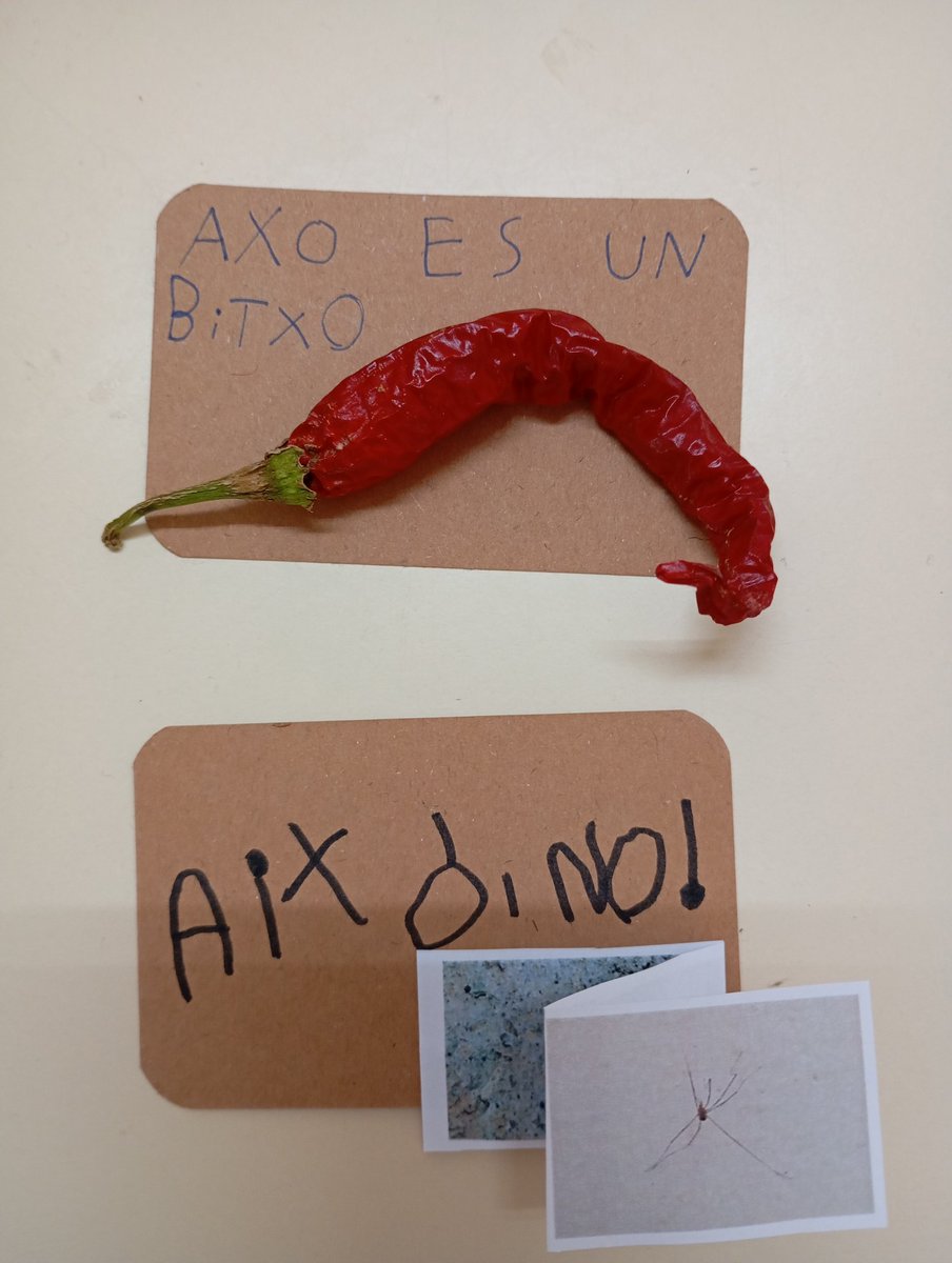 A l'escola, cal dir les coses pel seu nom.