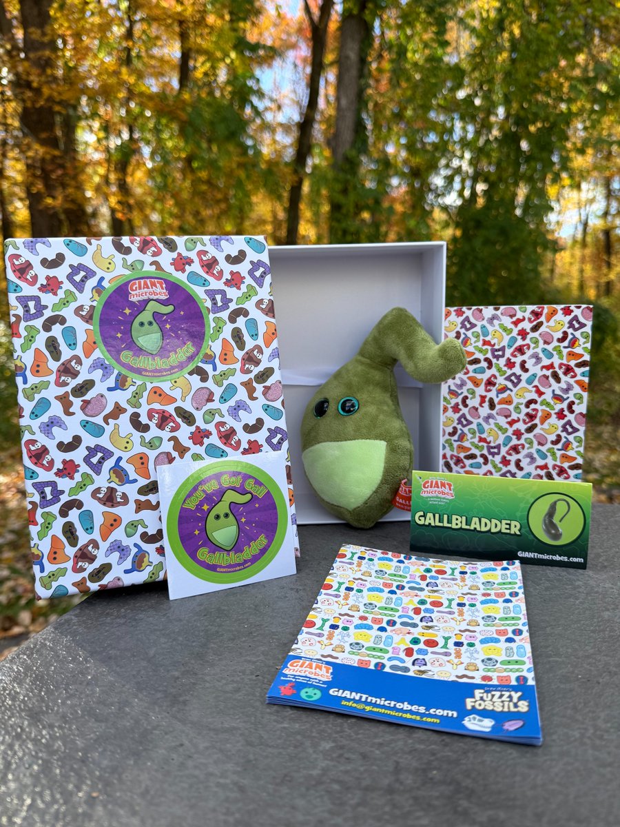 Ideal for anatomy lovers, science fans, or anyone who enjoys a little quirky fun! 🫀🧠🫁

🎁Check out our NEW Organ Boxes - plush organ, sticker &amp; card, all ready to gift: giantmicrobes.com/us/main/organ-…

#GIANTmicrobes #ScienceGifts #Anatomy #STEMGifts #Organs #Biology