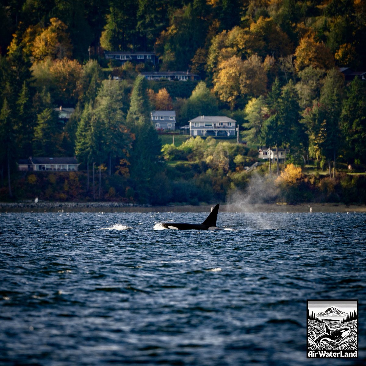 AirWaterLand Photography tweet media