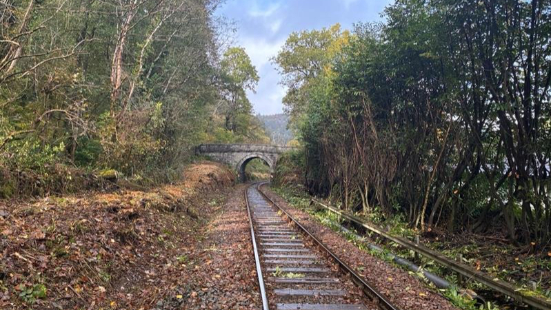 networkrail's tweet image. 🛤️ 🌳 Over the past month, we've worked across the scenic #Conwy Valley line - removing high-risk trees and clearing 600,000m² of vegetation.

This work will help prevent fallen trees from blocking the line during storms:

👉 networkrailmediacentre.co.uk/news/gbp-1-4m-…