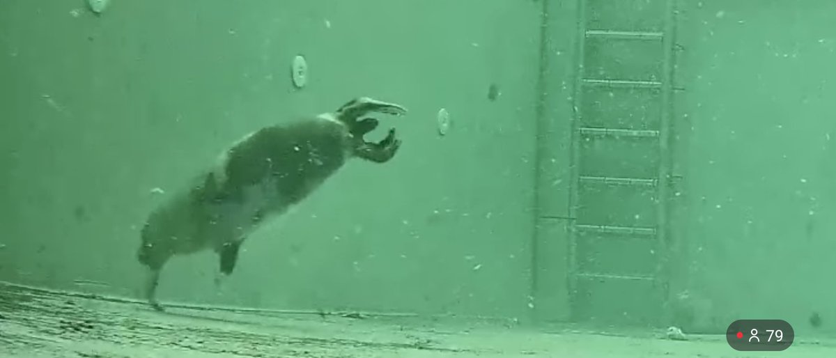 ヨーラン 🚲🍙🦭火野正平さんお疲れ様ありがとう on X