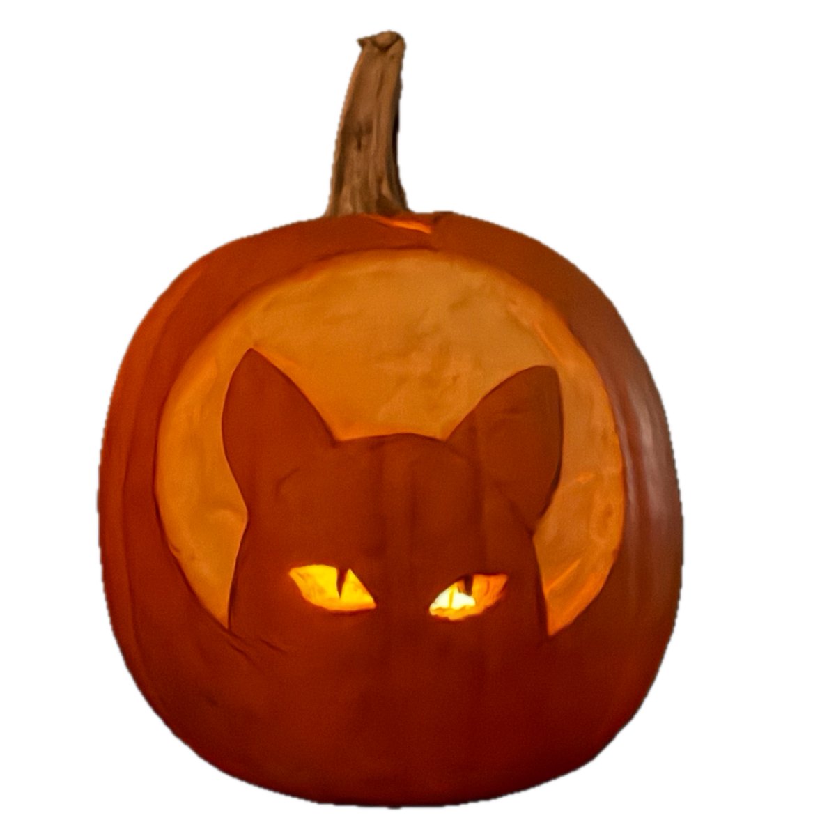 CommunityHS's tweet image. For Brian&apos;s activity week, he took to carving pumpkins. Brandon joined him but took his home to finish. Great job, guys! 🎃