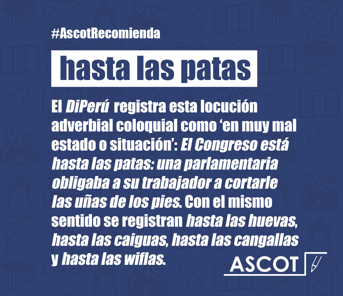 Como se observa, la frase no requiere comillas ni cursivas. #AscotRecomienda #HastaLasPatas #Congreso #Perú #LucindaVásquez #Cortauñas