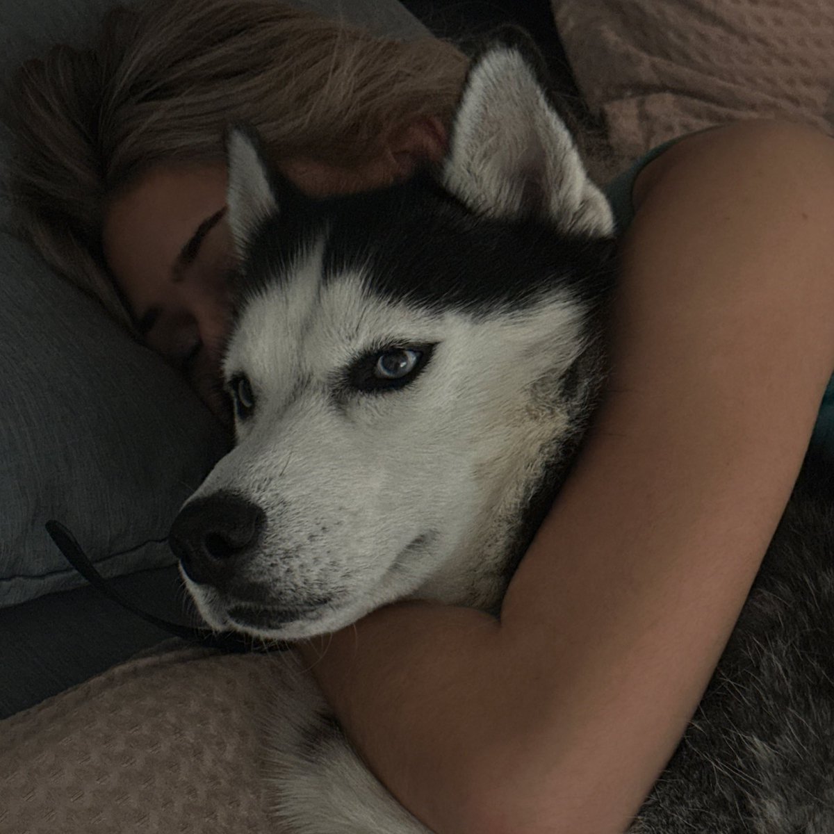 Connor Kurtz tweet media