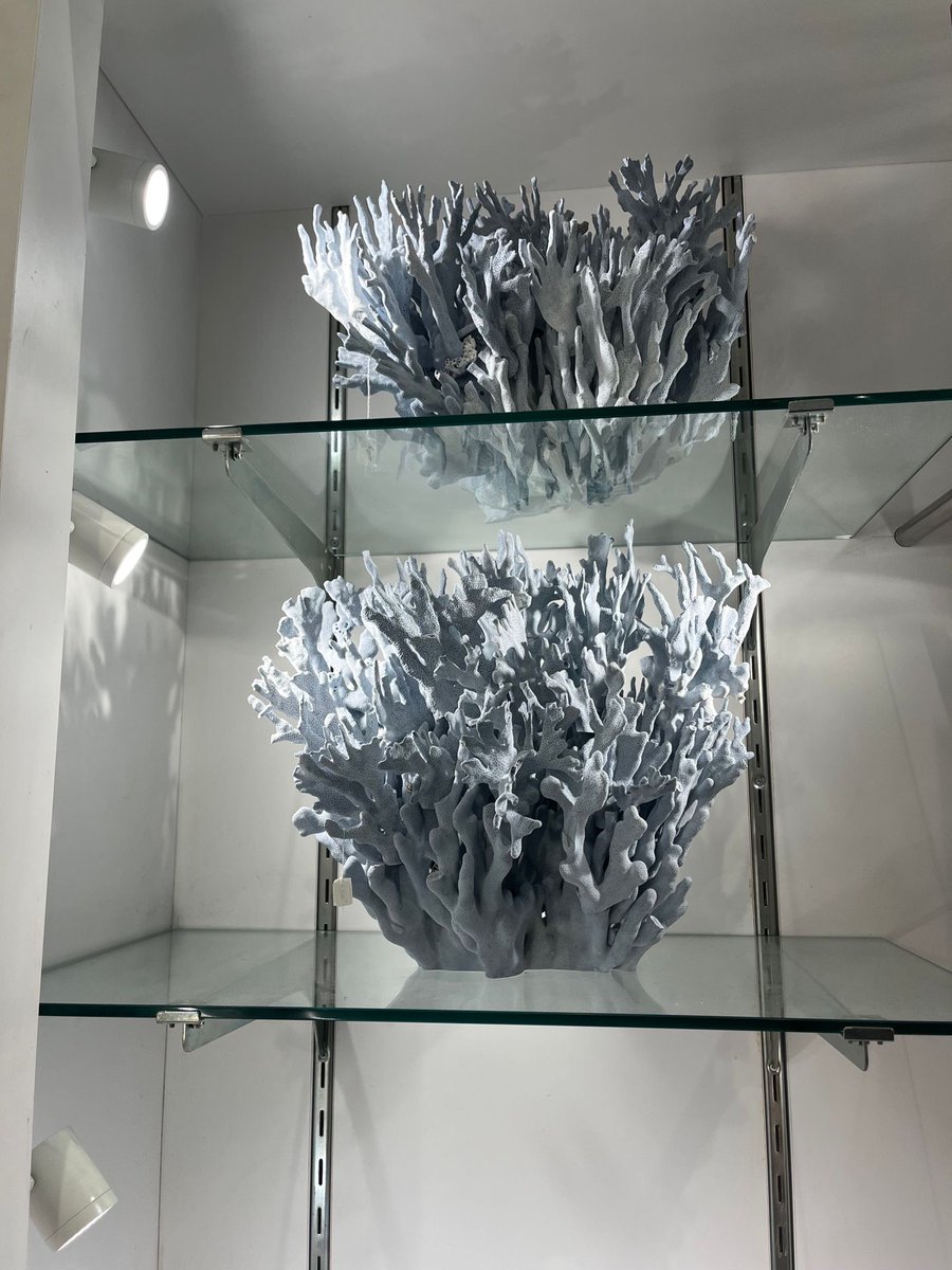 Today I'm inspired by the range of natural colors and textures at Astro Gem Gallery where we saw coral, gemstones and slabs of petrified wood. #inspiration #interiordesign #organicmaterials #commercial design #apartmentdesign #dianamosherassociates #jacksonheightsinteriordesigner