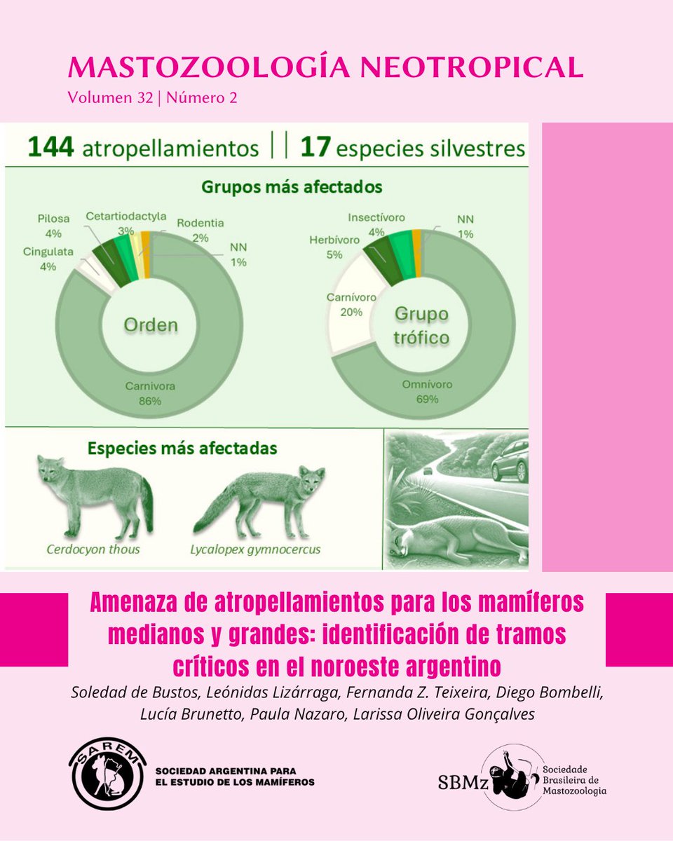 Mastozoologia Neotropical tweet media