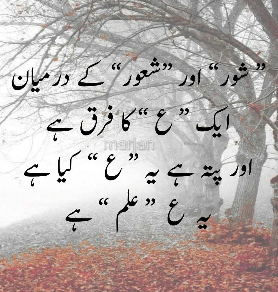 Muhammad Moazzam (@kingmonay) on Twitter photo 