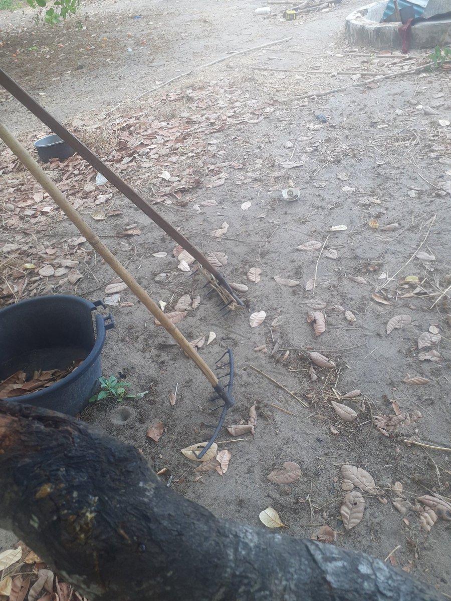 Désiré Doué (@mzawa_) on Twitter photo 