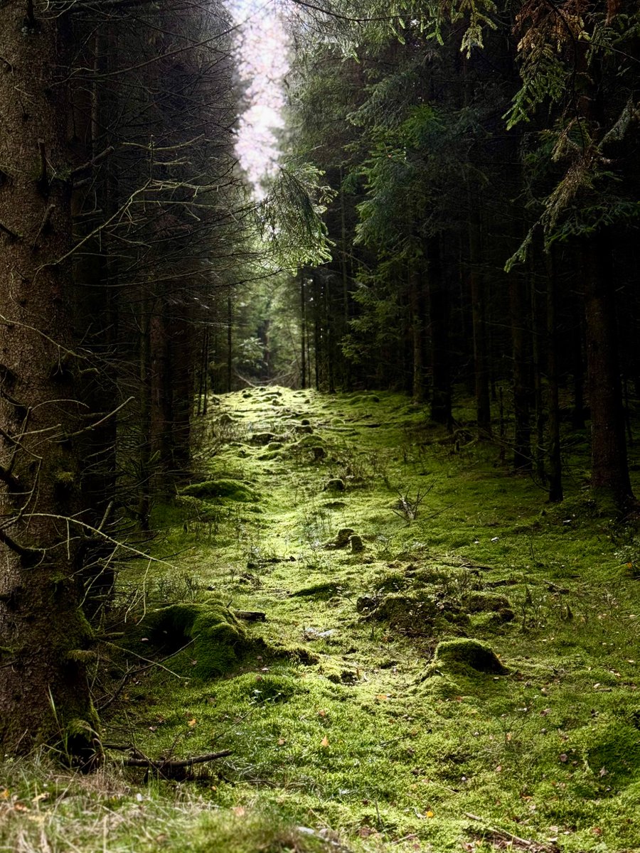 rnldvrhl's tweet photo. @earthcurated @CrispeThe https://t.co/JbJfR7waIw