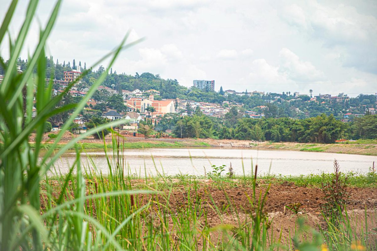 Today, Minister of State <a href="/Jadouwihanganye/">Jean de Dieu UWIHANGANYE</a>, alongside Minister <a href="/Dr_Arakwiye/">Dr. Bernadette Arakwiye</a> of <a href="/EnvironmentRw/">Ministry of Environment - Rwanda</a>, visited the wetlands under rehabilitation in Kigali to assess progress. The project aims to reduce flooding, improve water quality, enhance biodiversity &amp; promote green urban spaces.