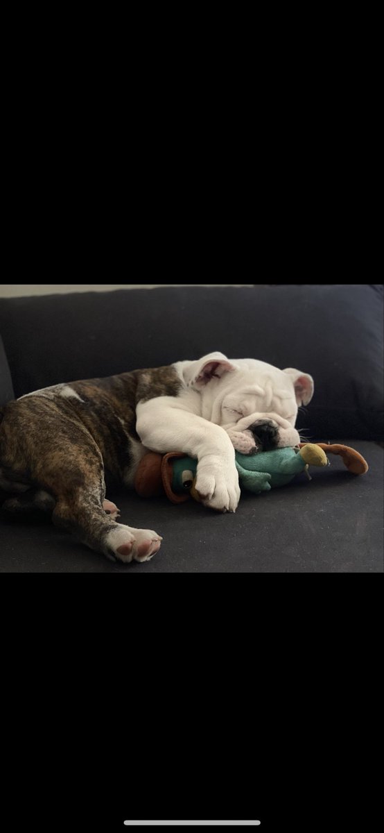 SofiMalosetti's tweet photo. Otto💖

#SEFUELARGA https://t.co/H2Z03PQ6so