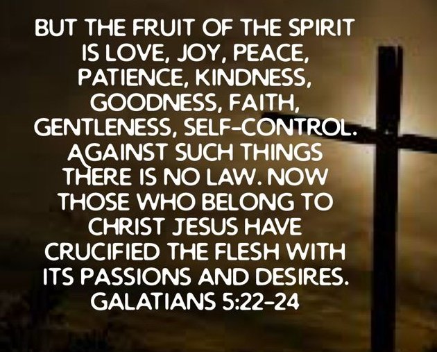 SpringSteps's tweet image. When someone's faith produces hatred or pride, it reveals they've built their identity on something other than Christ. True discipleship reflects His character. 🙏🏼