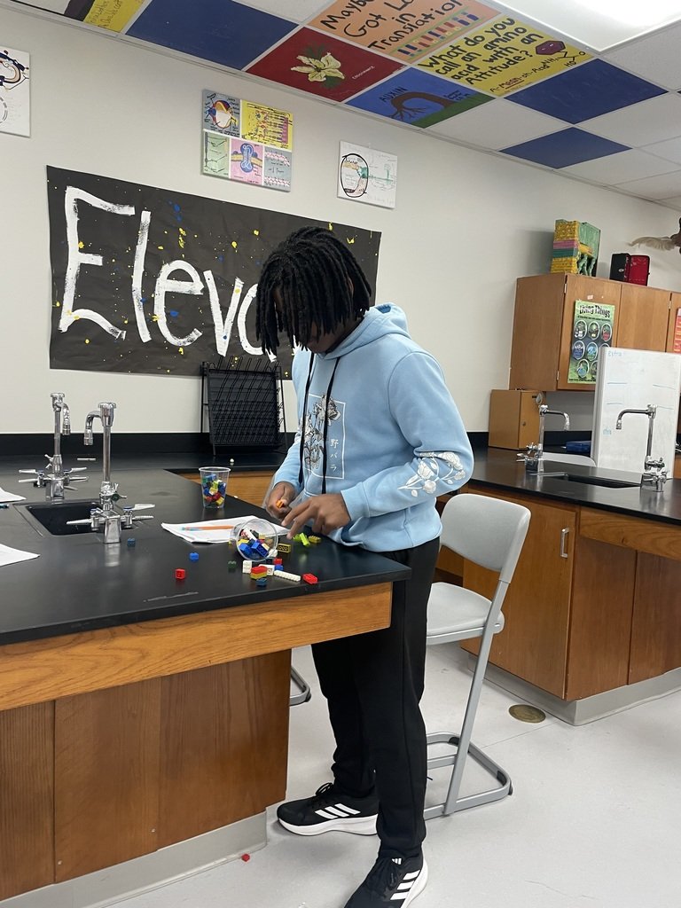 Mrs. Fox's AP Biology course assembles and disassembles Legos to represent enzyme substrate activity.