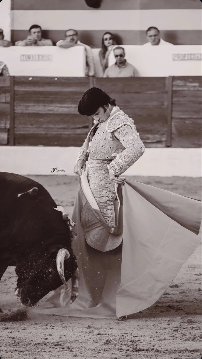 Lolo Gómez tweet media