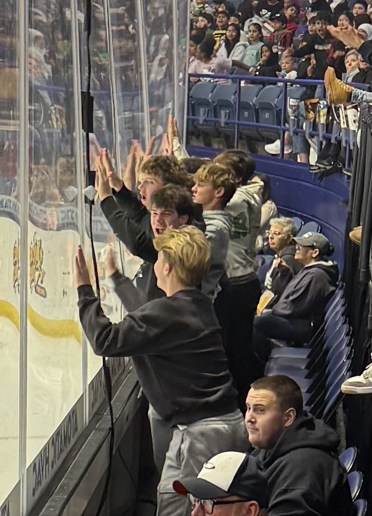 NNHS Introduction to Business learning the business of sports today <a href="/Chicago_Wolves/">Chicago Wolves</a>