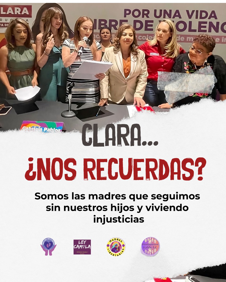 Madres Libertarias 💜🔥 tweet media