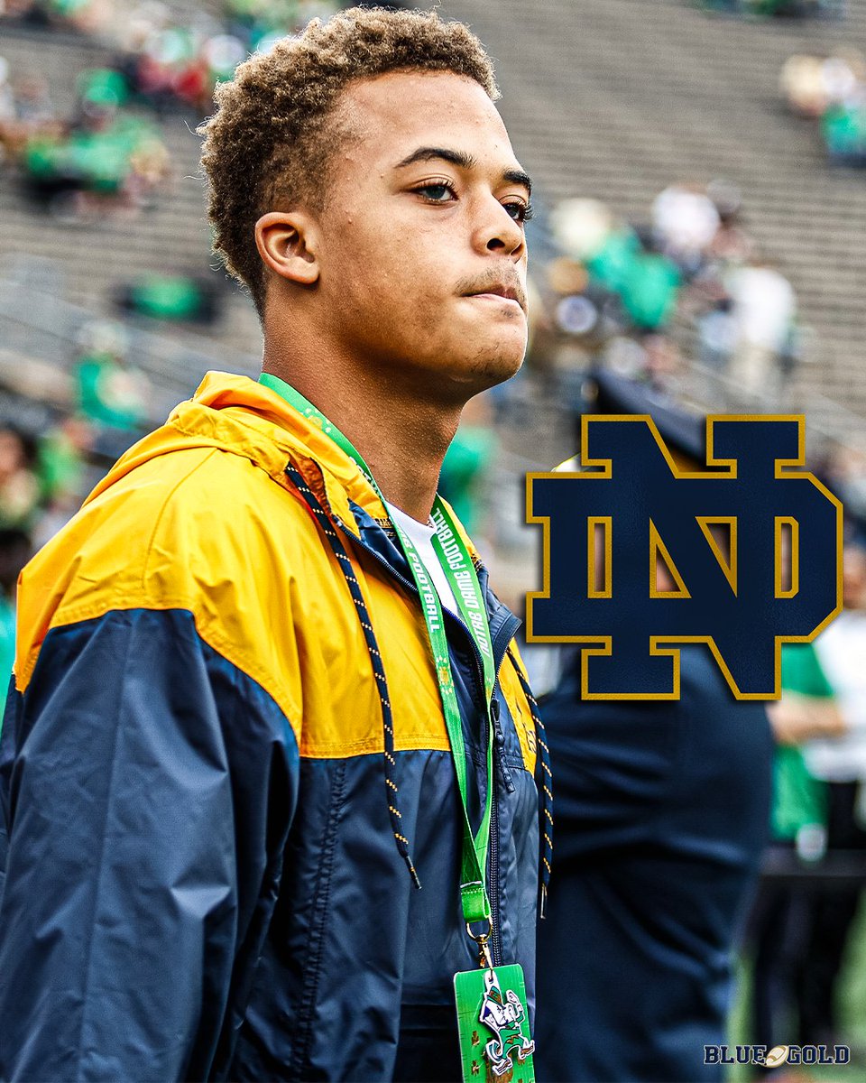 Kyle Kelly tweet media