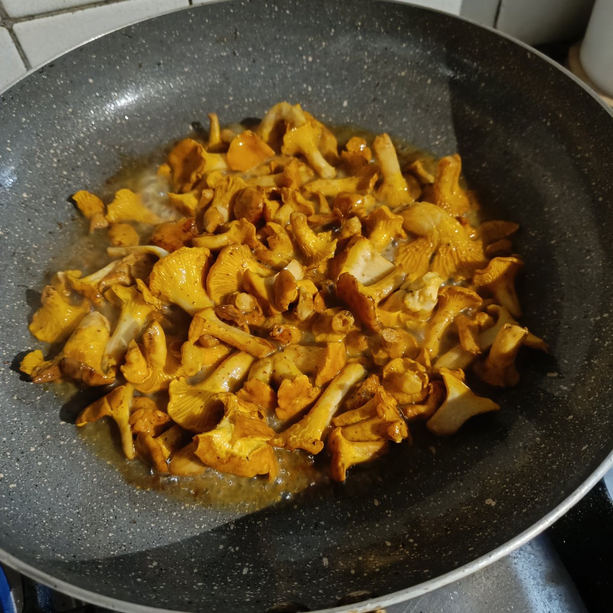 Quand mon papa vient me voir et me rapporte un petit tup de girolles triées par ma maman ❤️❤️❤️
