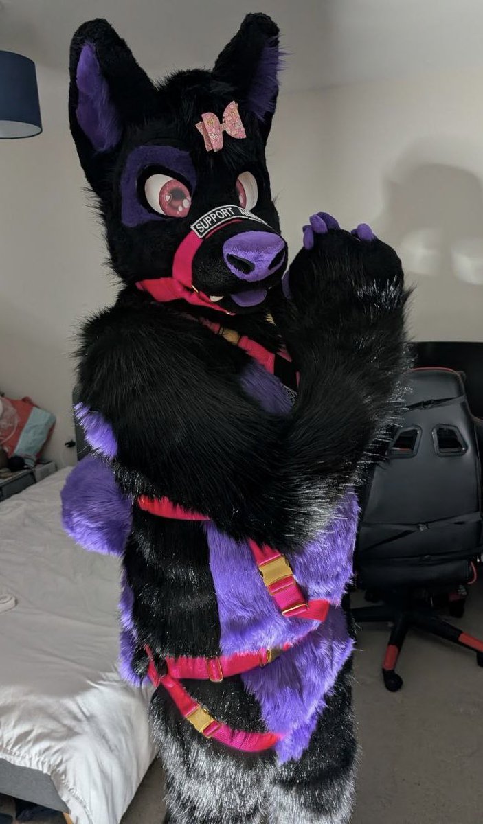 This puppy needs belly rubs asap! Any takers?~ 💜🐾

#TummyTuesday
