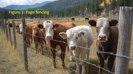 Blog: The living fence project - mailchi.mp/af54c5723cdf/b…