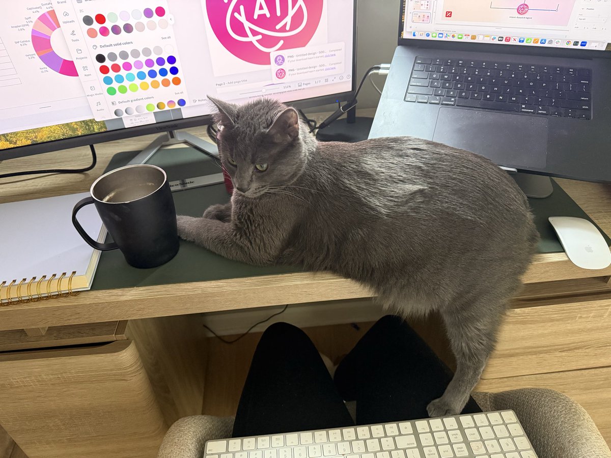 albie tweet media