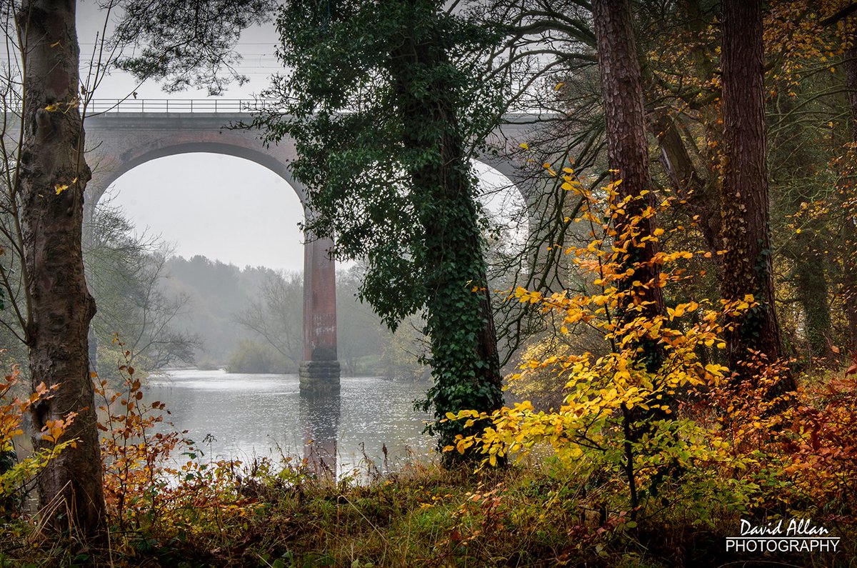 davidm_allan's tweet image. A damp #autumn scene by the River Wear at Croxdale, south of Durham in North East England. The viaduct spanning the river carries the East Coast Main Line connecting London&apos;s, Kings Cross with Edinburgh&apos;s Waverly railway stations... @ThisisDurham @LNER @VisitEngland