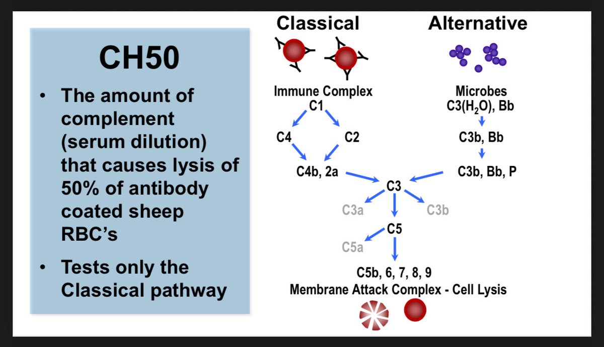 🧠 #ACR25 Immunology Bootcamp I (Part 1): The Immune System Basics – Dr. Troy Torgerson
•🧩 4 Core Compartments:
Complement 🧬 | Phagocytes 🧫 | B cells 💉 | T cells ⚔️
→ Innate + Adaptive arms in perfect coordination.
•⚙️ Immune Activation:
1️⃣ Proliferation
2️⃣ Cytokines &amp;
