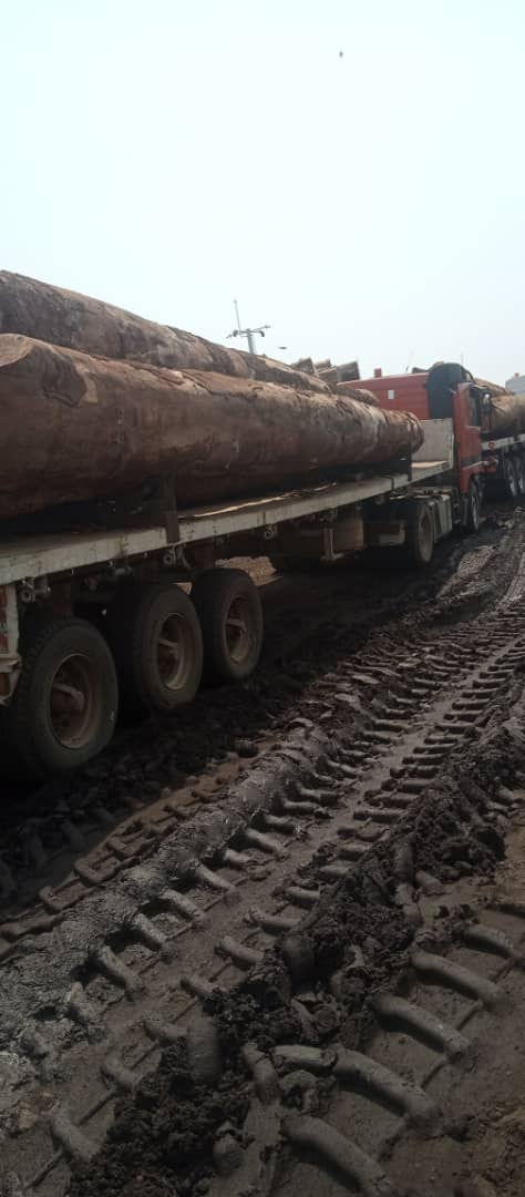 AbiluTangwa's tweet image. &quot;Deforestation is alarming&quot; is an understatement.
📍In the Amazon, we lose over 1.5 soccer fields of forest every MINUTE.
📍In theCongo Basin, deforestation has doubled since 1990.
This isn&apos;t just losing trees; it&apos;s losing a global climate regulator. #Deforestation