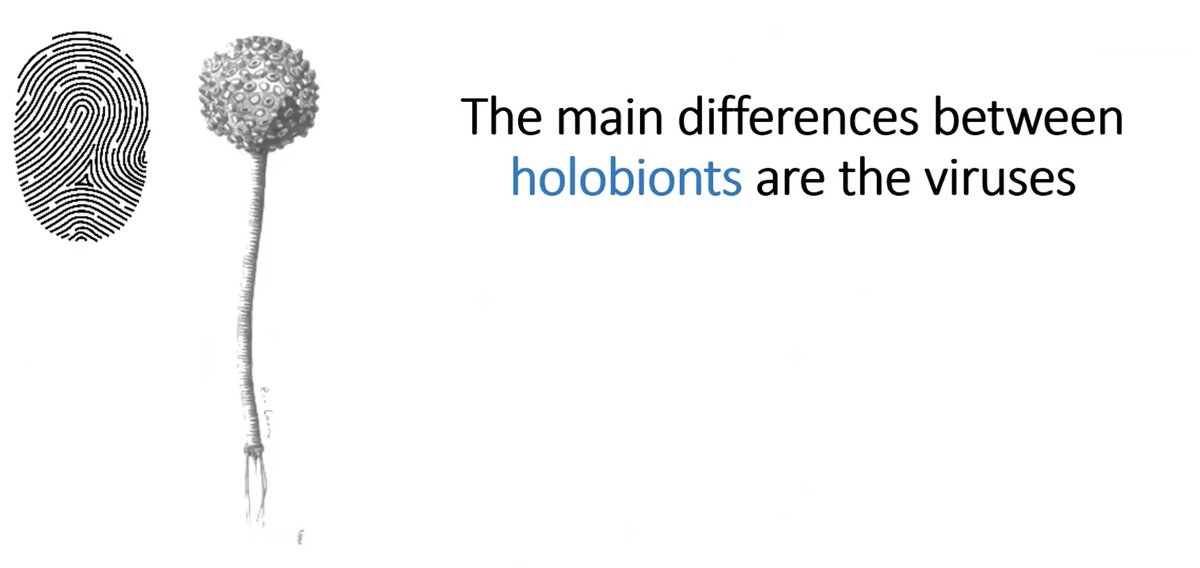 That's a great quote by <a href="/KatrineWhiteson/">Katrine Whiteson</a>! Seminar link:

youtube.com/watch?v=yTmJPi…