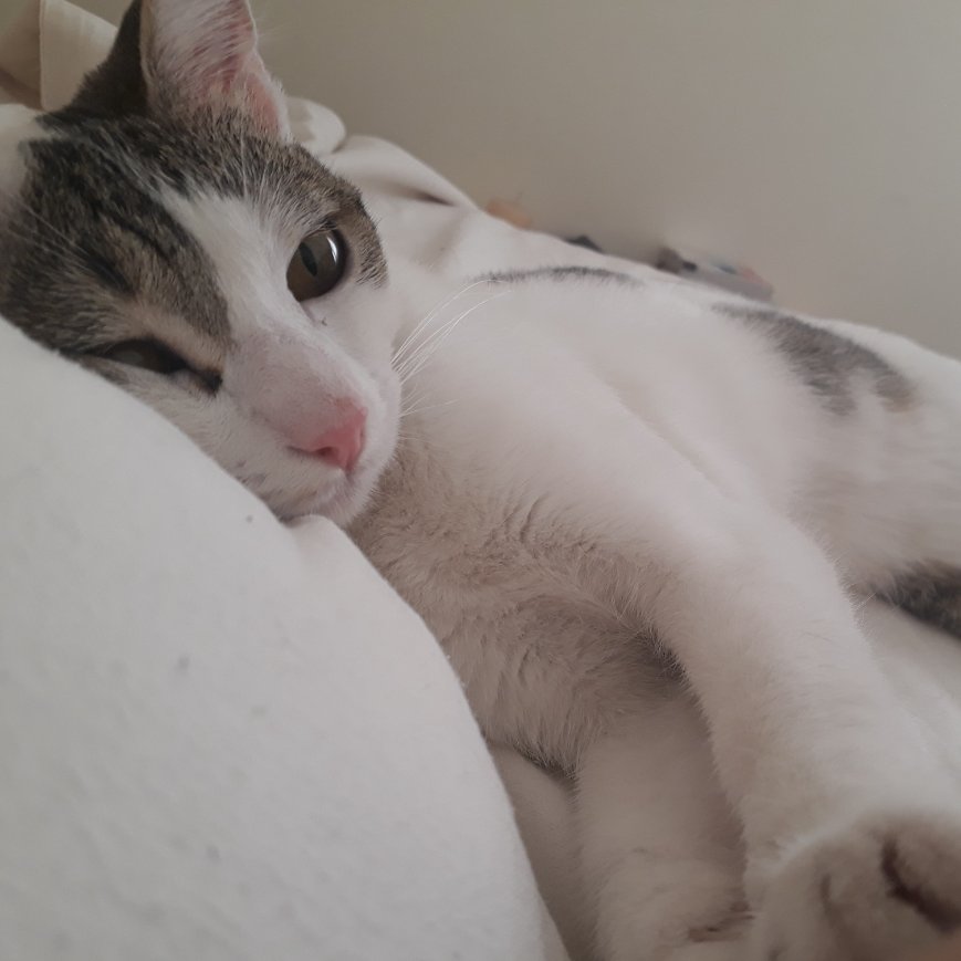 Karen descansa un rato y contame otra vez lo chiruza que era yo cuando me rescataste