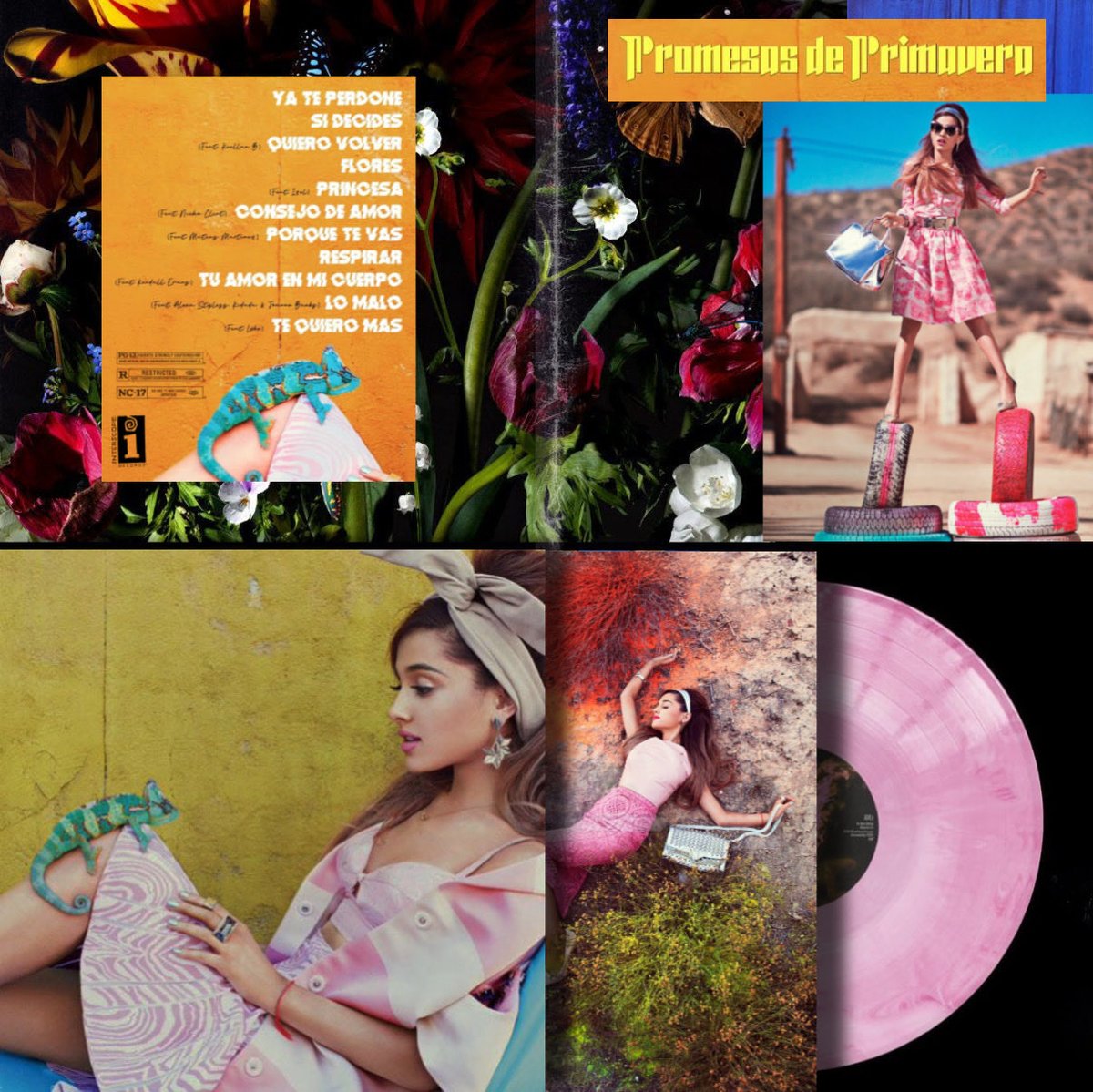 ೋ•✧๑ 🌸🌱🌼🍃🌹 ๑✧•ೋ •

Promesas de Primavera - Fantasy Edition 

Mi primer álbum en español ya con su versión de lujo, formato vinilo. 

 ೋ•✧๑🌸🌱🌼🍃🌹๑✧•ೋ •