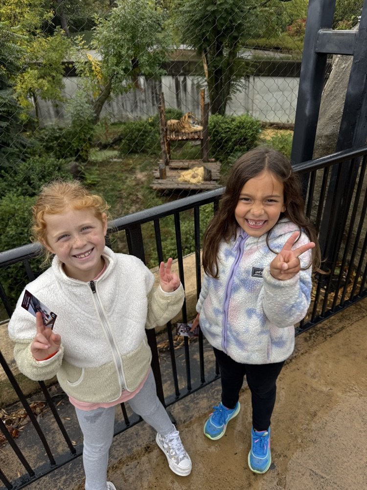 M19_MES's tweet image. MES First grade had a wildly fun time exploring the zoo!🐻🦛🦁 #MESProud  #19EveryStudent