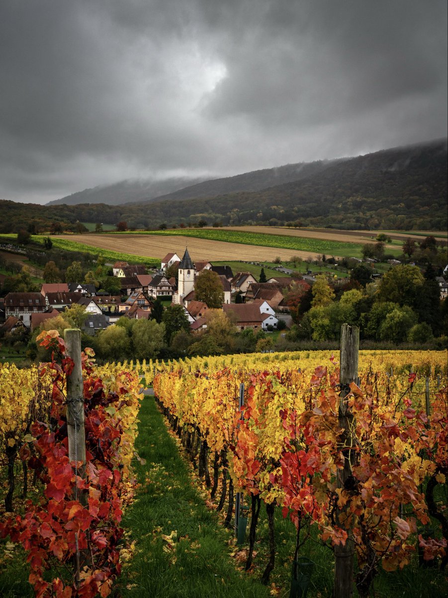 Les belles couleurs de l’automne…et de l’Asace…