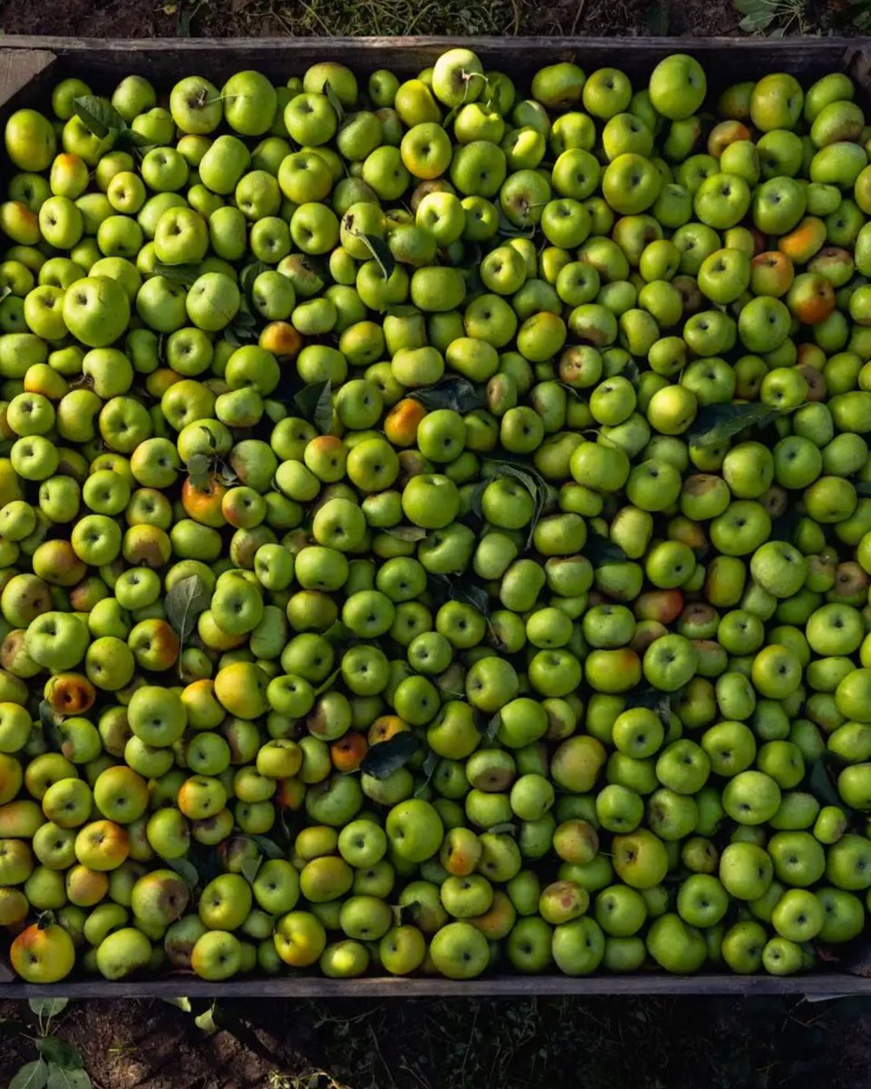 California Farm Bureau tweet media