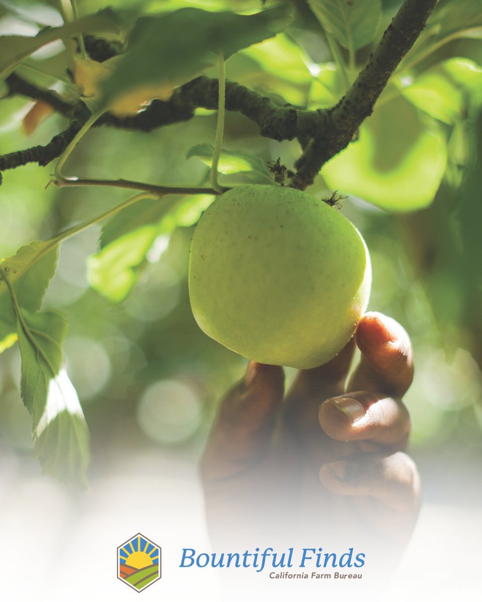 California Farm Bureau tweet media