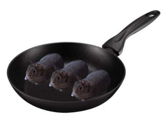 cooking sausages so delicious