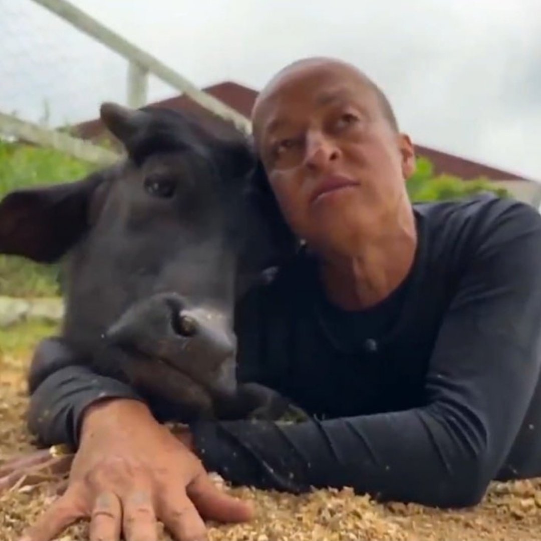 hotgirlslovebfr's tweet image. campo grande é tão longe de tudo que até da guerra ficamos out